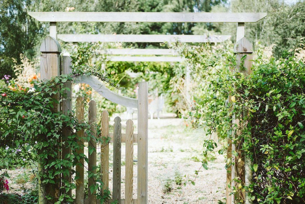 gate to garden with greenery